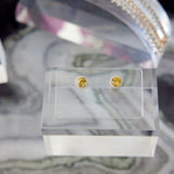 Acrylic Earring Organizer Cards | Pack of 10