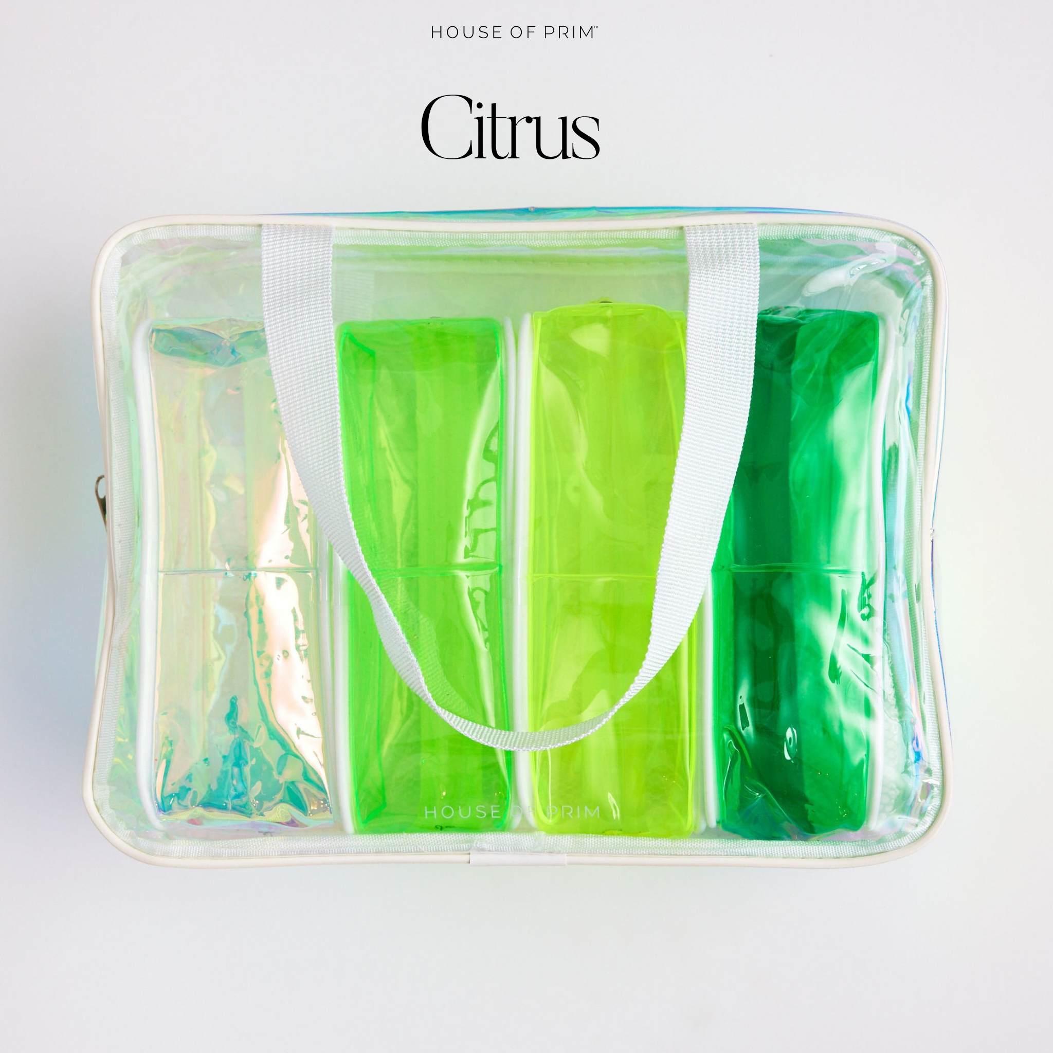 Citrus / Petite Pouches / Citrus / Perfect Pouches