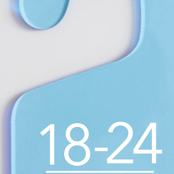 Baby Days Size Hanging Dividers | MAXIMALIST Labels