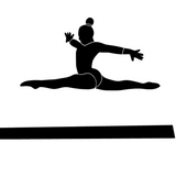 Gymnastics Icons