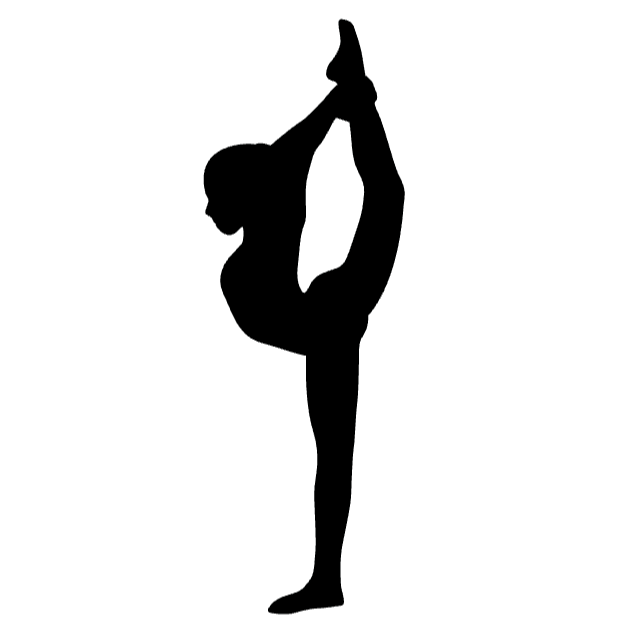 Gymnastics Icons