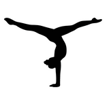 Gymnastics Icons
